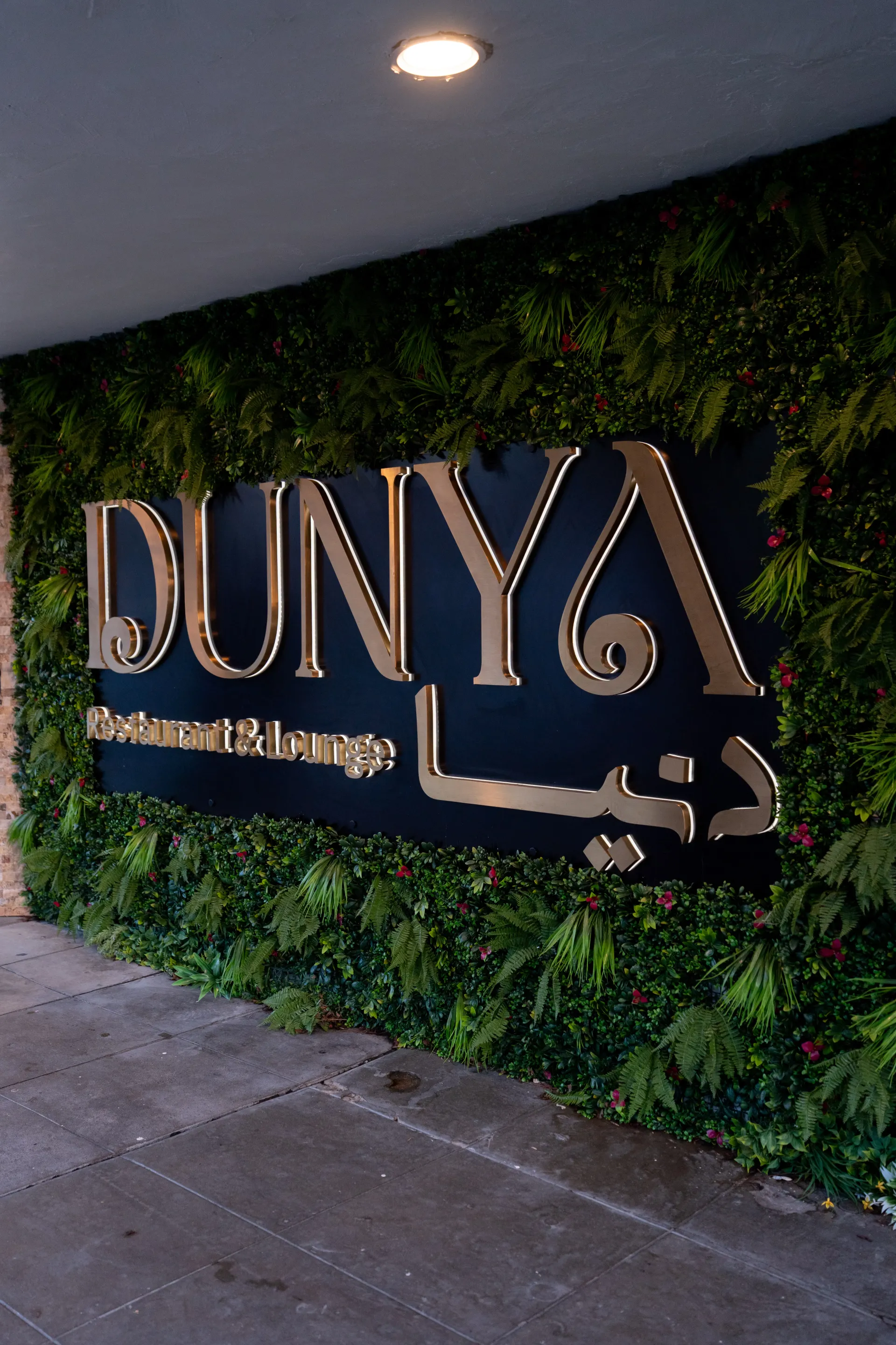DUNYA Neon Wall